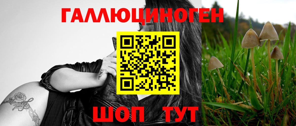 Галлюциногенные грибы мухоморы Волхов